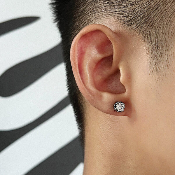Titanium Steel Black Zircon Earrings - Image 2