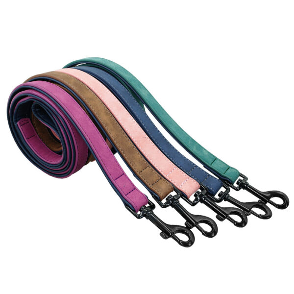 Pull-resistant Leather Leash - Image 2