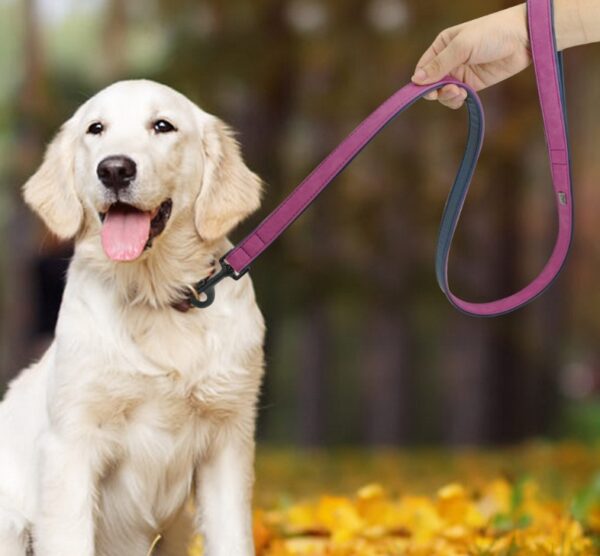 Pull-resistant Leather Leash